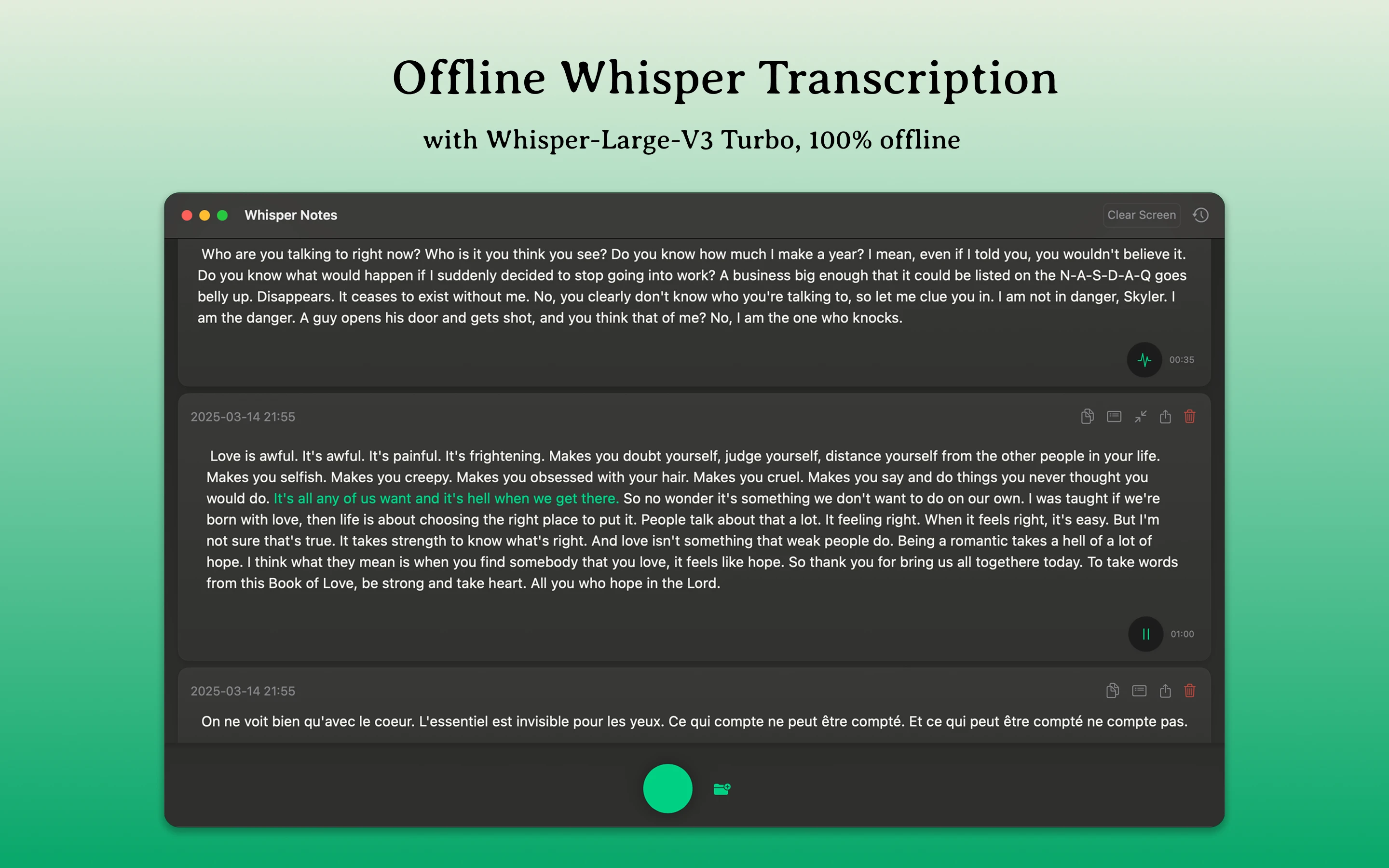Mac Whisper Notes User Interface
