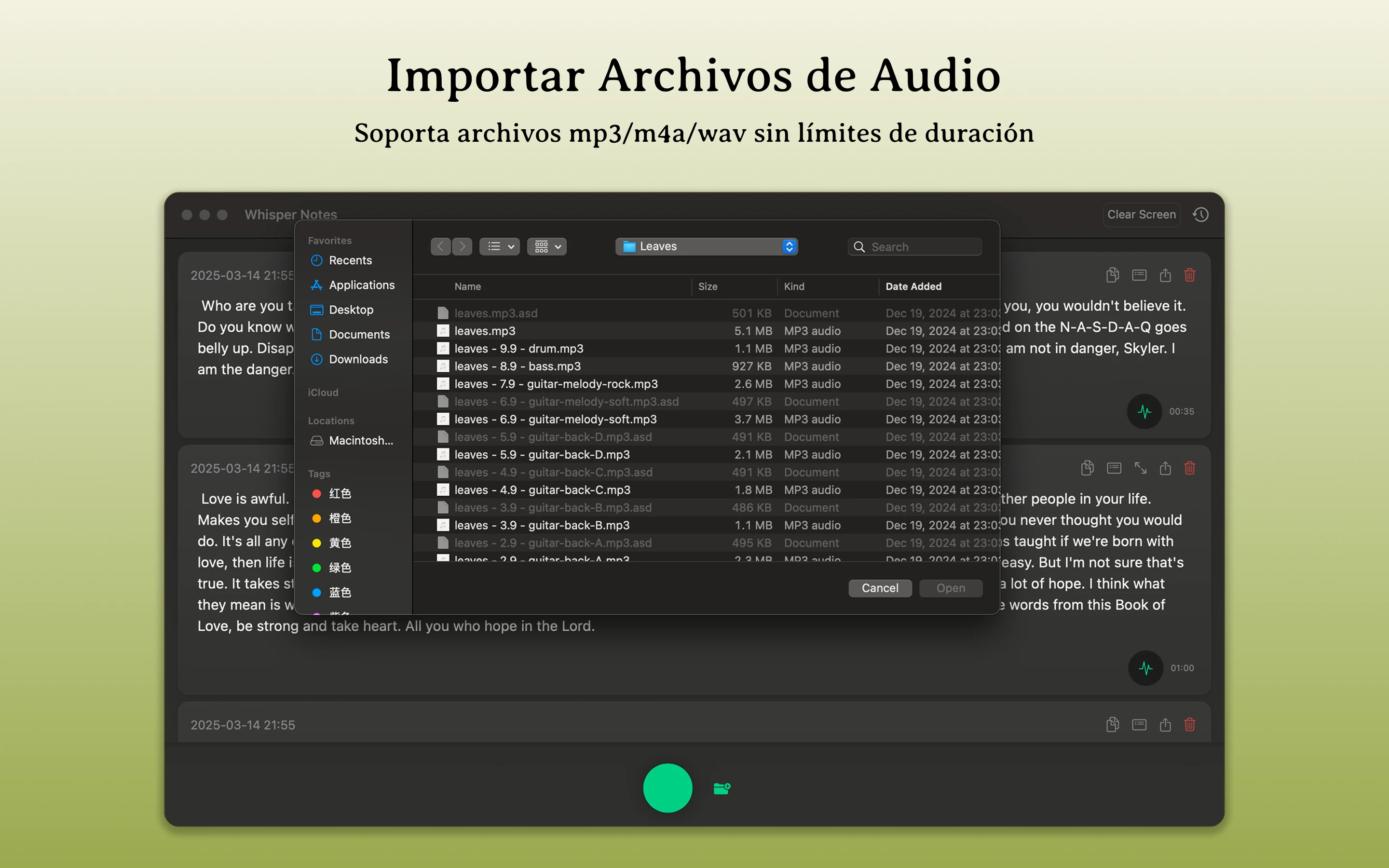 Importación de archivos de audio en Mac Whisper Notes