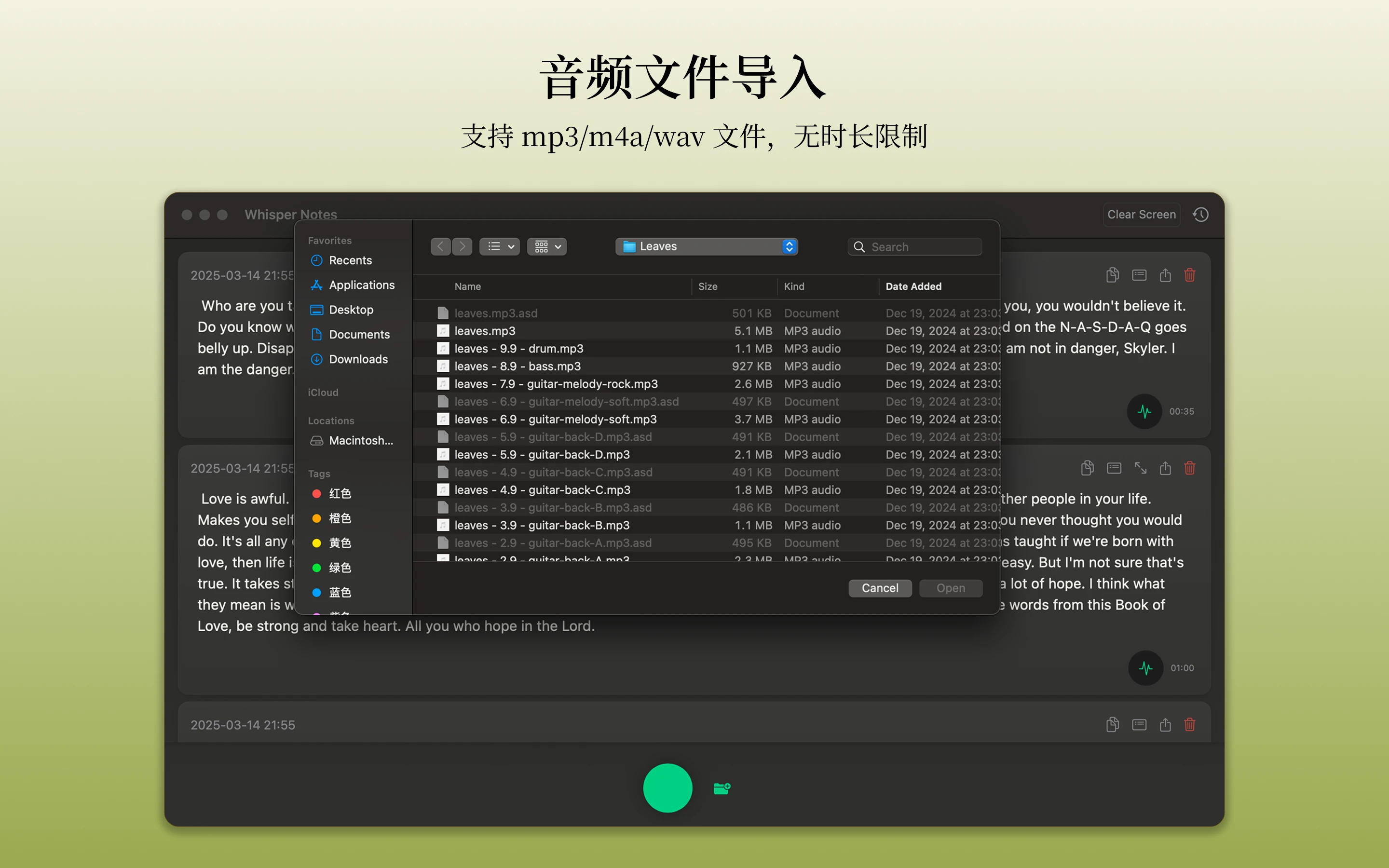 Mac Whisper Notes 音频导入功能